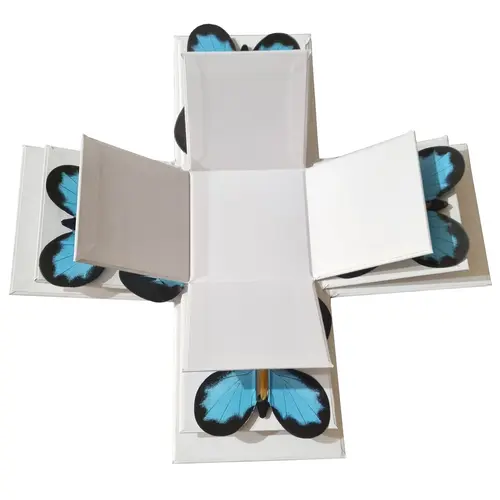 Box with 4 Blue Butterflies