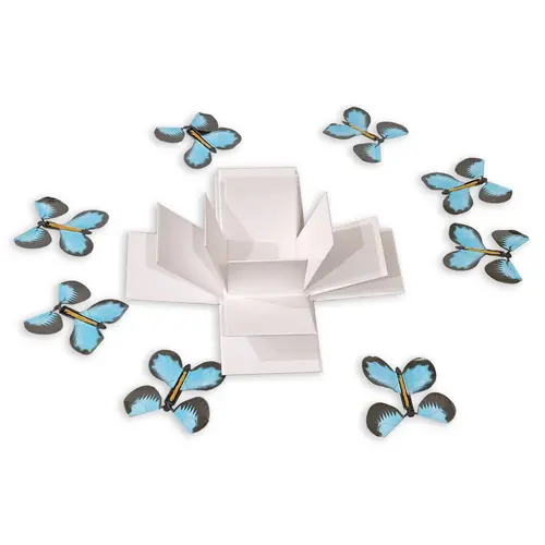 DIY Box with 8 Pink or Blue Butterflies