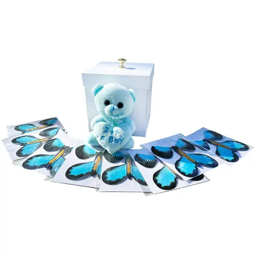 DIY Box with 8 Pink or Blue Butterflies and Teddy