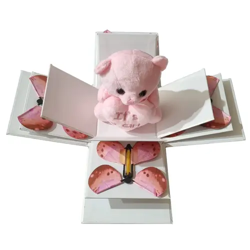 Box with 4 Pink Butterflies and Teddy